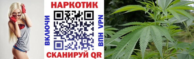 Виды наркотиков купить Мегион Канабис  СОЛЬ  Мефедрон  Псилоцибиновые грибы  COCAIN 