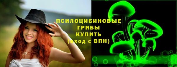 Альфа ПВП Абаза